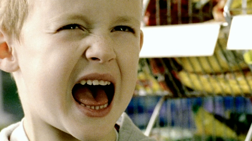 ZAZOO / Little Boy